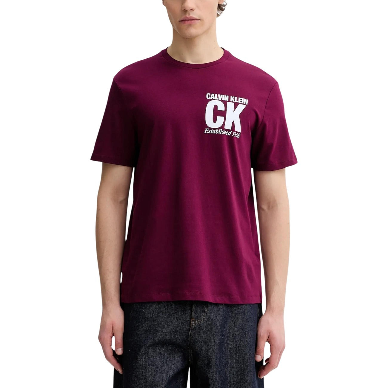 Calvin Klein - Calvin Klein T-Shirt Homem